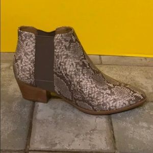Snakeskin Chelsea Boots